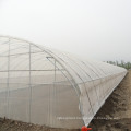 Factory production anti drip blue pe greenhouse film